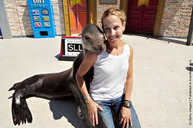 Sheryl Crow meets Clyde the Sea Lion
