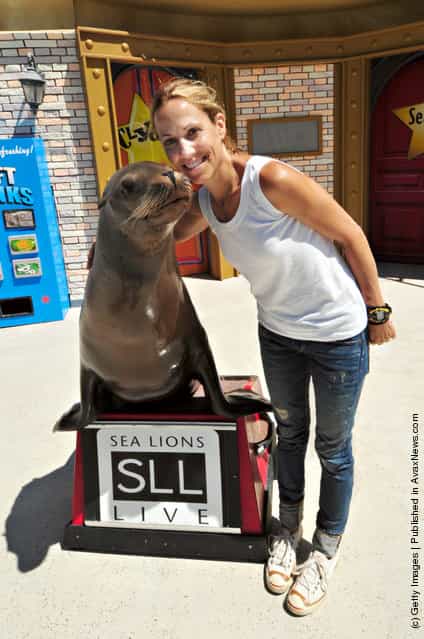 Sheryl Crow meets Clyde the Sea Lion