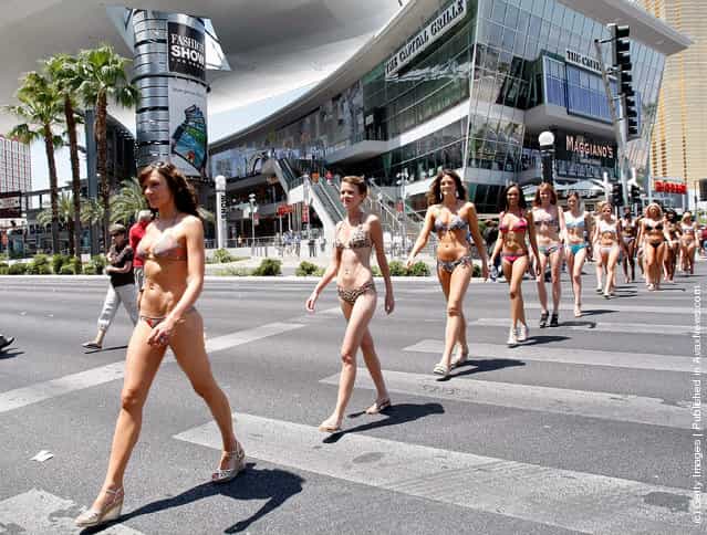 Women in bikinis march across the Las Vegas Strip