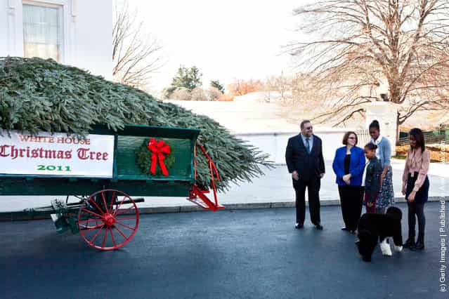 2011 National Christmas Tree Association Grand Champion winners Tom Schroeder (L) and Sue Schroeder (2L) talk with first lady Michelle Obama (2R) and daughters Sasha Obama (C) and Malia Obama as they are presented with the official White House Christmas Tree
