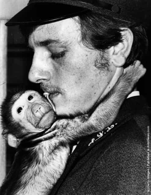 23rd June 1971: Ripple, a baby baboon born at London zoo on 7th May, 1971, with a keeper