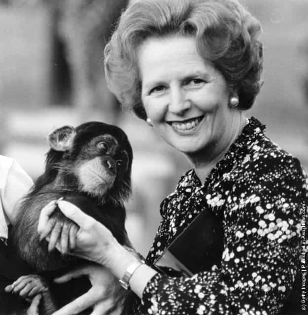 British prime minister Margaret Thatcher (right) holding a chimpanzee, 1985