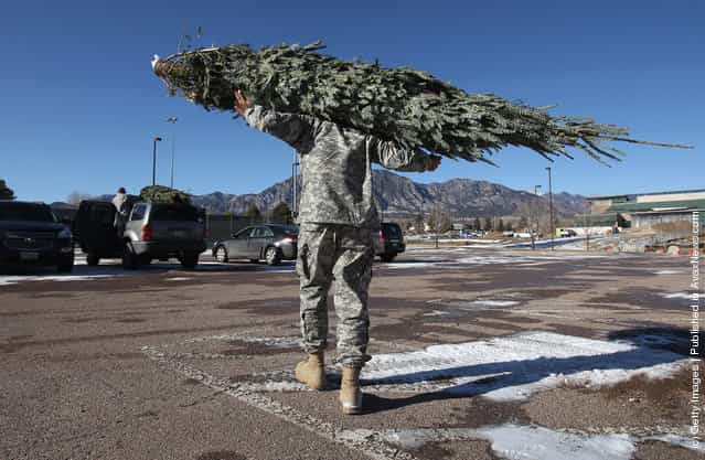 U.S. Army soldiers carry off free Christmas trees