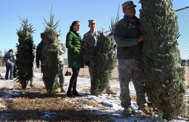 U.S. Army soldiers carry off free Christmas trees