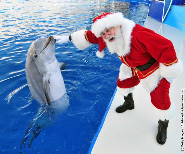Santa Claus poses with Dolly Dolphin at SeaWorld San Diego