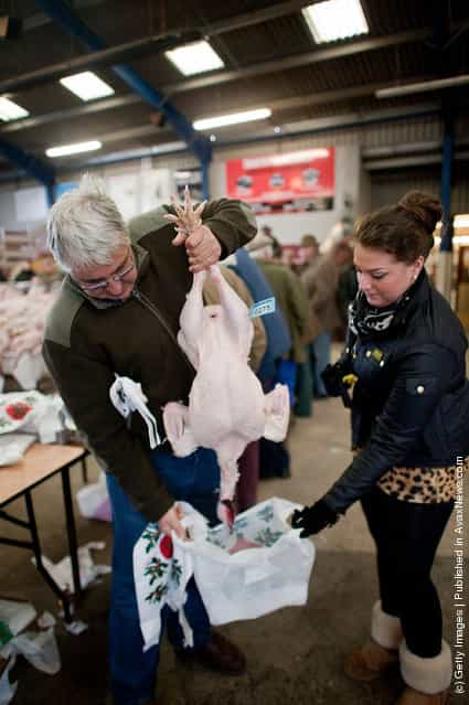 Buyers bag up their turkeys at the Christmas Poultry Auction at Murton Livestock Center on December in York, England