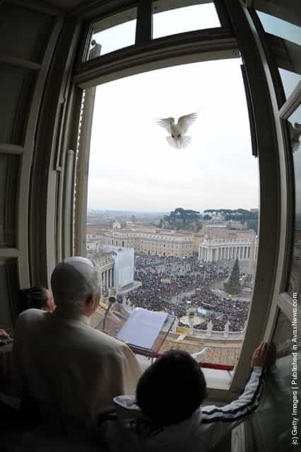 Pope Benedict XVI releases a dove from the window of his studio at the end of his Sunday Angelus prayer in St. Peter's Square