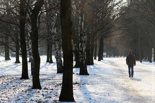 A man walks through the snow-covered Tiergarten