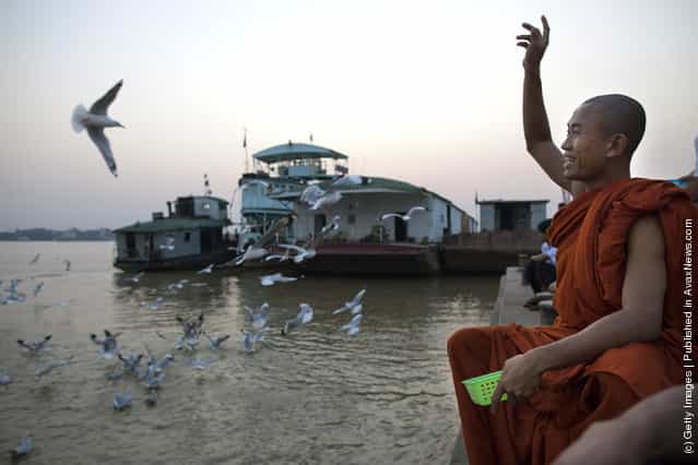 A Burmese monk feeds the seagulls at a Yangon river jetty