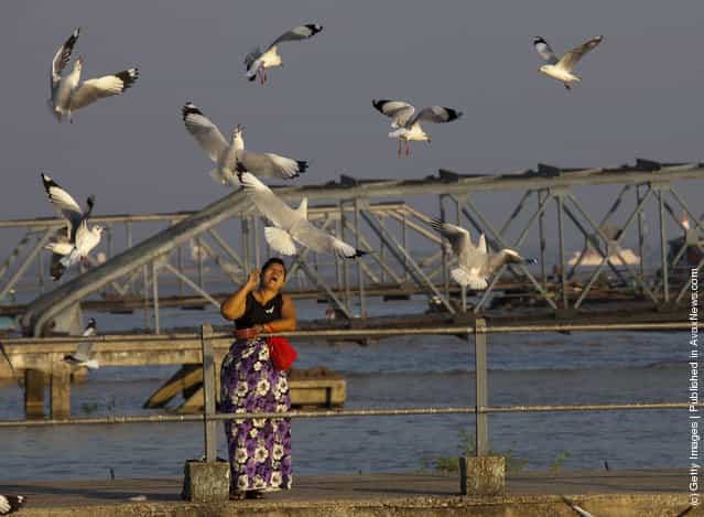 A woman feeds the seagulls along the Yangon river in Yangon, Myanmar