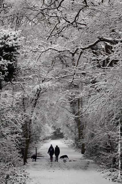 Women walk through the snow on Wimbledon common with their dogs on February