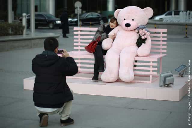 A Chinese man takes pictures of his girlfriend posing with a giant teddy bear for Valentines Day outside a shopping mall