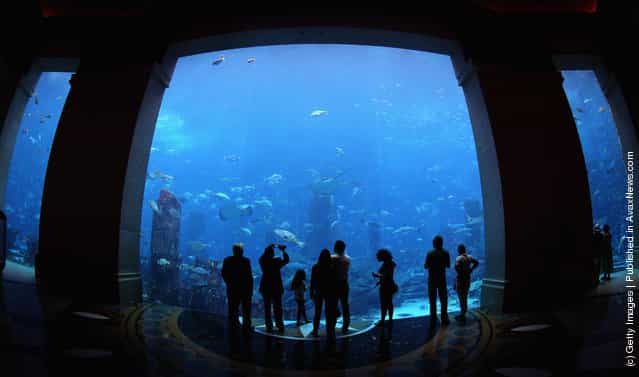 Holiday-makers watch the fish in the giant tank at Atlantis the Palm Hotel