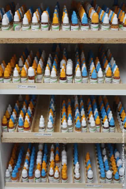 Bottles containing the flavoured liquids used for smoking electronic cigarettes stand in a cabiunet at a shop