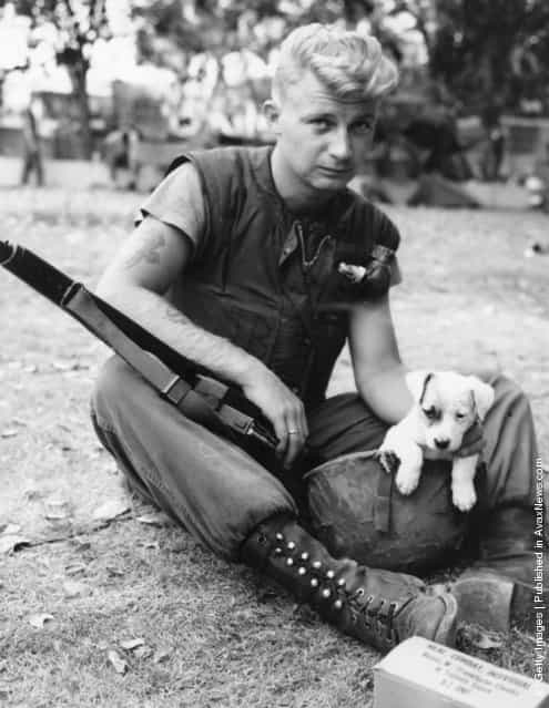 1965: Marine Corporal J Laursen of San Jose, California is taking time out from patrol duty in Santo Domingo, the focal point of the rebellion in the Dominican Republic. Resting with his mascot Whitey a little puppy dog who is sitting in his helmet