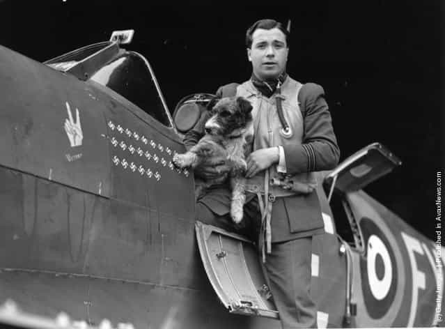1941: Flight Lieutenant Eric Stanley Lock, DFC, and Bar, DSO, of 611 Squadron. Aircraft carries V for Victory crest, and 26 swastikas showing his 26 Nazi kills. Stanley carries a dog under one arm
