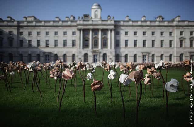 Out of Sync art installation on a grass meadow at Somerset Housein London