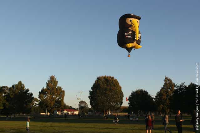 Hot air balloons rise as they leave Innes Common Park on in Hamilton, New Zealand