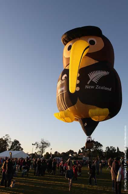 Hot air balloons rise as they leave Innes Common Park on in Hamilton, New Zealand