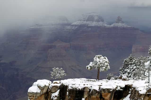 A spring snowstorm blankets the south rim of the Grand Canyon, Saturday, April 9, 2011, in northern Arizona. Much of Arizona was hit by a late winter storm Saturday that brought rain to the Phoenix metro area and snow to the Grand Canyon and the mountains around Flagstaff