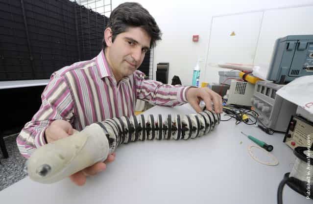 Professor Cesare Santanini from the engineering high school SantAnna in Pontedera, Italy, displays a lamprey-like robot at the Engineering-Ecole des Mines in Nantes, France, during a bionic robots workshop on April 7, 2011
