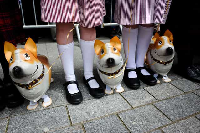 School children wait with inflatable corgie dogs prior the arrival of Queen Elizabeth II for a visit to Exeter, England on May 2, 2012