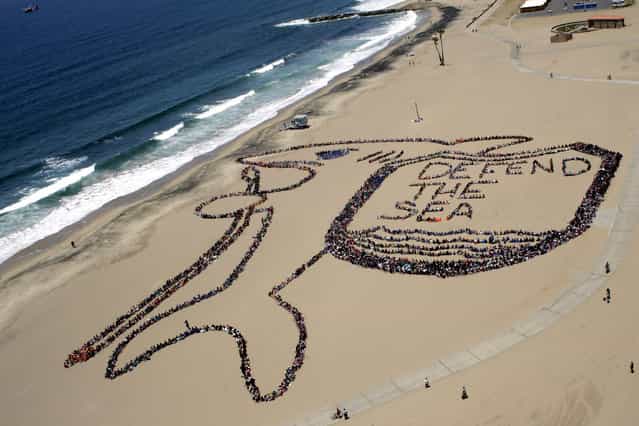 More than 5,000 Los Angeles kids, teachers and volunteers form a massive kid-designed shark and shield that reads 'Defend the Sea' from everyday plastic trash as part of the 19th annual Kids Ocean Day Adopt-A-Beach Clean-Up sponsored by the Malibu Foundation, City of Los Angeles and the California Coastal Commission June 7, 2012 in Los Angeles