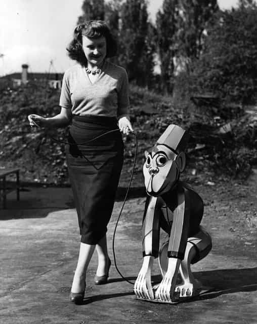 1952: Barbara Mitchell of Kingsbury walks with a model of a chimpanzee made in the factory where she works