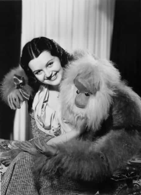 Toni Chase a brunette beauty appearing in New York Midnight Follies 1934 at the Dorchester is embraced by a large orang-utan cuddly toy