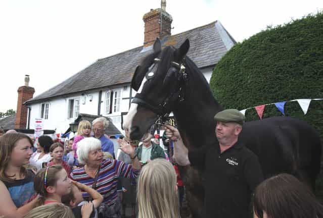 Max, the Wadworth brewery shire horse waits to be given a pint of beer outside the Raven Inn in Poulshot as he starts his two-week annual holiday on August 3, 2012 near Devizes, England. (Photo by Matt Cardy)
