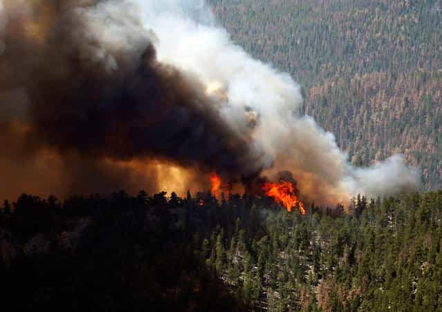 Fire rages through the forest in the High Park fire west of Fort Collins, Colorado, on June 19, 2012. Eight more homes were lost in the Colorado wildfire that is the state's most destructive on record and which continued to rage dangerously close to a residential subdivision as winds stoked the flames. (Photo by Rick Wilking/Reuters)