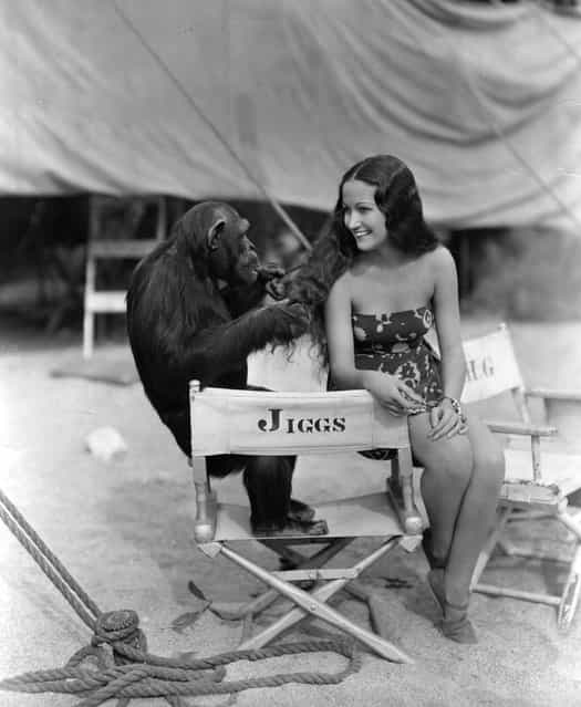 Dorothy Lamour (1914–1996), playing with [Jiggs] the screen chimpanzee, while on location in Palm Springs for the filming of [Her Jungle Love], a Paramount production, circa 1937. (Photo by Hulton Archive)