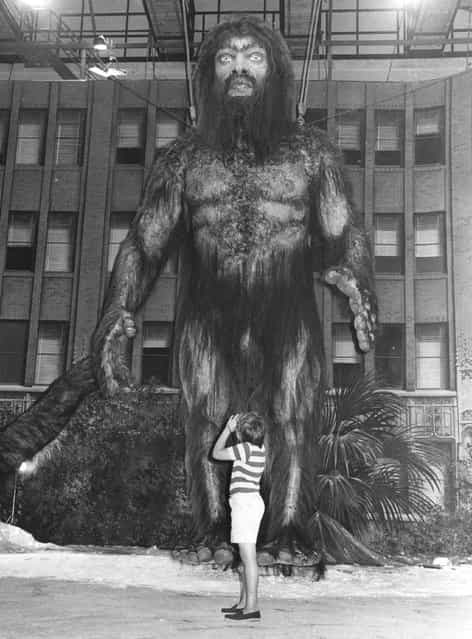 A huge model of the mythical half-man half-beast creature the yeti, in Rome for the shooting of Frank Kramer's film [Yeti]. 18th July 1977. (Photo by Keystone)