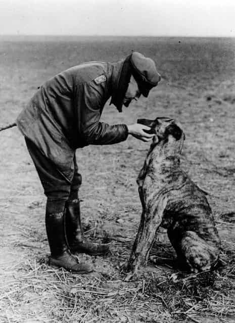 German flying ace Baron Manfred von Richthofen (1892–1918) also known as The Red Baron with his dog Moritz, circa 1916.