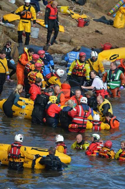 Mass Stranding of Pilot Whales