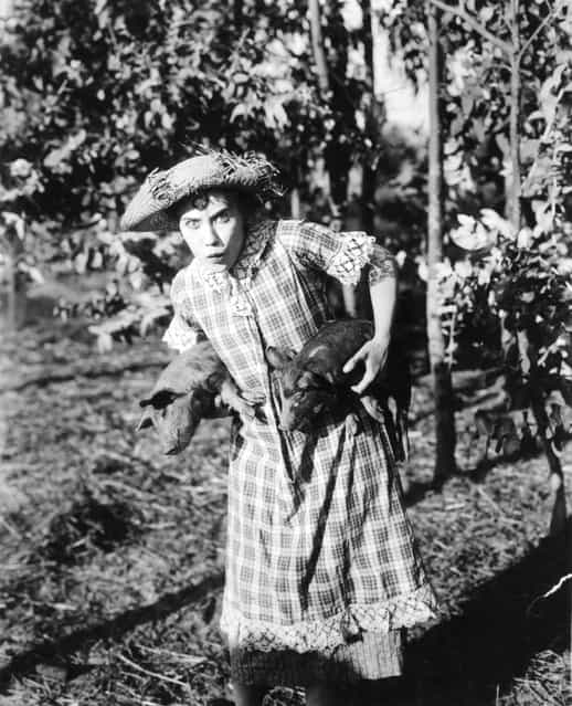 American actress Louise Fazenda (1899–1962) in a scene from Mack Sennett's Keystone production of [Down on the Farm], circa 1920. (Photo by Hulton Archive)