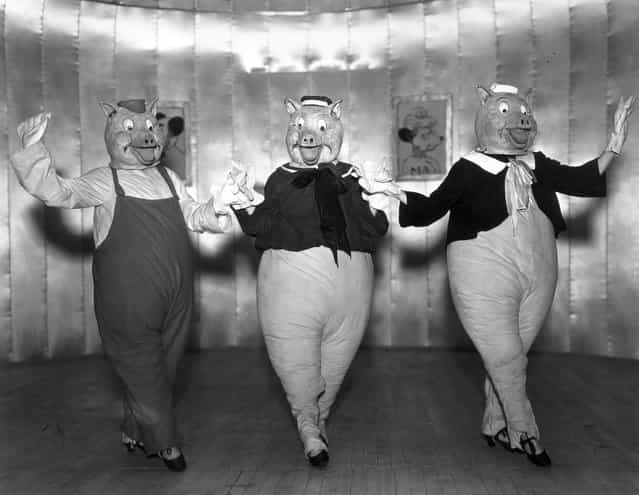 Actresses Rosalie Franson, Estelle Essex and Annabelle Lancaster as the Three Little Pigs in a production of [Monte Carlo Follies] at the Grosvenor House Hotel, London, 1934. (Photo by Sasha)