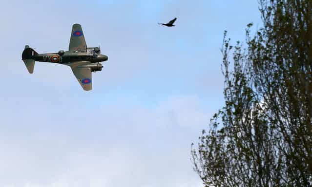 A vintage plane performs during an airshow commemorating the completion of the rebuild of Havilland Mosquito KA 114, on September 29, 2012 in Ardmore, New Zealand. The plane was restored by Warbird Restorations at Ardmore Aerodrome and is the only flying Mosquito in the world. (Photo by Simon Watts)