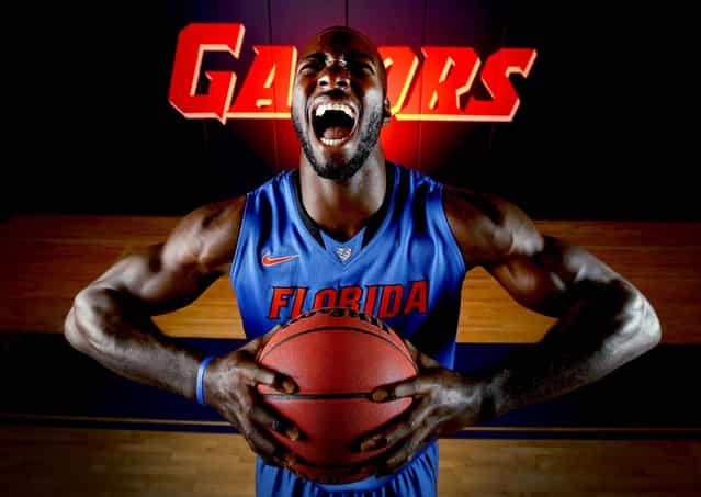 Florida center Patric Young poses for a photo during UF's basketball media day in Gainesville, on October 10, 2012. (Photo by Matt Stamey/The Gainesville Sun)