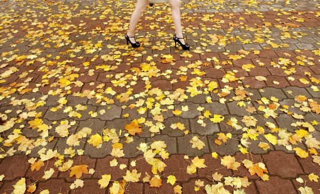 A woman walks on the leaf-covered ground in central Minsk, Belarus on October 3, 2012. (Photo by Vasily Fedosenko/Reuters)