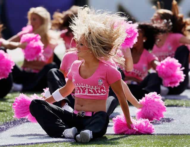 Baltimore Ravens cheerleaders preform during the first half of the Ravens and Dallas Cowboys game at M&T Bank Stadium on October 14, 2012 in Baltimore, Maryland. (Photo by Rob Carr)