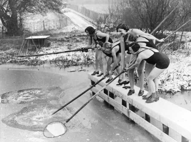Regulars of the women's pond at Kenwood on Hampstead Heath, London are underterred by the ice. 22nd December 1935. (Photo by E. Dean/Topical Press Agency)
