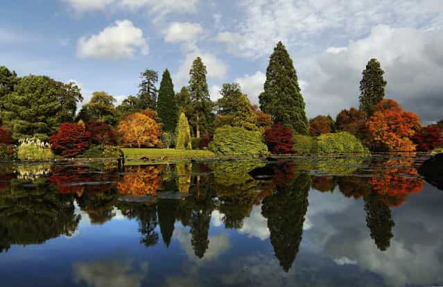 Changing autumn leaves are reflected in a pond in Sheffield Park Gardens near Haywards Heath in southern England October 17, 2012. (Photo by Luke MacGregor/Reuters)