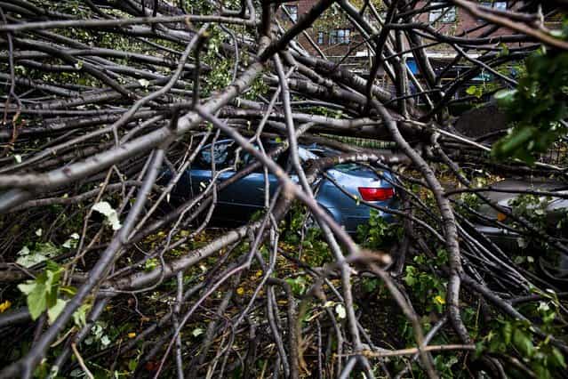 A car is crushed beneath a fallen tree on East Broadway in Manhattan's Lower East Side neighborhood. (Photo by John Minchillo/Associated Press)