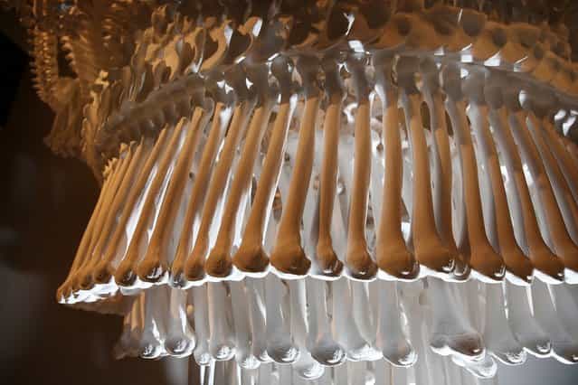 A chandelier made from plaster casts of bones by artist Jodie Carey is displayed at the [Death: A Self-portrait] exhibition at the Wellcome Collection on November 14, 2012 in London, England. The exhibition showcases 300 works from a unique collection by Richard Harris, a former antique print dealer from Chicago, devoted to the iconography of death. The display highlights art works, historical artifacts, anatomical illustrations and ephemera from around the world and opens on November 15, 2012 until February 24, 2013. (Photo by Peter Macdiarmid)