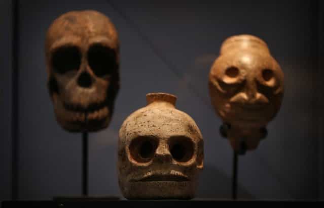 Skulls and skull shaped vessels are displayed at the Death: A Self-portrait exhibition at the Wellcome Collection on November 14, 2012 in London, England. The exhibition showcases 300 works from a unique collection by Richard Harris, a former antique print dealer from Chicago, devoted to the iconography of death. The display highlights art works, historical artifacts, anatomical illustrations and ephemera from around the world and opens on November 15, 2012 until February 24, 2013. (Photo by Peter Macdiarmid)