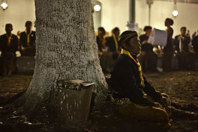 A Javanese man sits at the base of a tree awaiting rituals night carnival [1st Suro] ( Javanese calender) during Islamic New Year celebrations at Kasunanan Palace on November 14, 2012 in Solo City, Central Java, Indonesia. Javanese will celebrate the national holiday with ceremonies and rituals marking the 1434th Islamic New Year's Eve or [1st Suro]. The parade started from Keraton Kasunanan and is headed by a group of albino buffaloes, known as Kebo Bule. Local people believe that the parade of Heirlooms and Kebo Bule will bring them a better life. (Photo by Ulet Ifansasti)