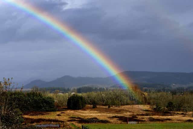 A day after a torrential downpour and wind storm moved through the area, rain clouds part enough for a rainbow to emerge along Highway 58 near Pleasant Hill, Oregon, November 20, 2012. (Photo by Chris Pietsch/The Register-Guard)