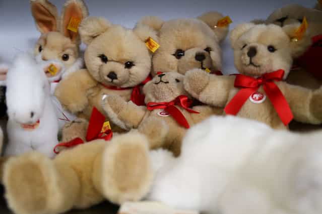 Teddy bears sit on a shelf at the Steiff stuffed toy factory on November 23, 2012 in Giengen an der Brenz, Germany. Founded by seamstress Margarethe Steiff in 1880, Steiff has been making stuffed teddy bears since the early 20th century ever since her nephew Richard Steiff exhibited the first commercially produced teddy bear in Europe in 1903. Teddy bears are among the most popular children's toys and the company is hoping for a strong Christmas season. (Photo by Thomas Niedermueller)