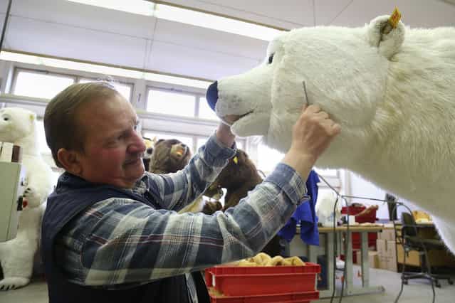 A worker prepares a polar bear at the Steiff stuffed toy factory on November 23, 2012 in Giengen an der Brenz, Germany. Founded by seamstress Margarethe Steiff in 1880, Steiff has been making stuffed teddy bears since the early 20th century ever since her nephew Richard Steiff exhibited the first commercially produced teddy bear in Europe in 1903. Teddy bears are among the most popular children's toys and the company is hoping for a strong Christmas season. (Photo by Thomas Niedermueller)
